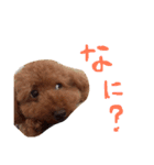 こたさんのいちにち（個別スタンプ：2）