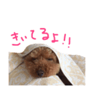 こたさんのいちにち（個別スタンプ：3）