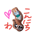 あっ君ステッカー（個別スタンプ：3）