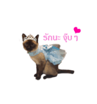 Nitchaphat（個別スタンプ：8）