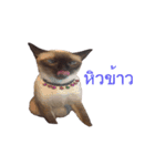 Nitchaphat（個別スタンプ：13）