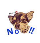 2チワワ（個別スタンプ：4）