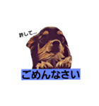 2チワワ（個別スタンプ：32）
