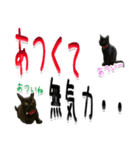 ★りある黒猫★夏仕様(デカ文字)（個別スタンプ：4）