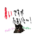 ★りある黒猫★夏仕様(デカ文字)（個別スタンプ：7）