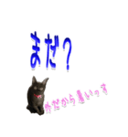 ★りある黒猫★夏仕様(デカ文字)（個別スタンプ：25）