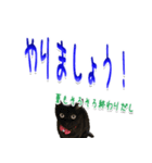 ★りある黒猫★夏仕様(デカ文字)（個別スタンプ：33）