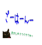 ★りある黒猫★夏仕様(デカ文字)（個別スタンプ：34）