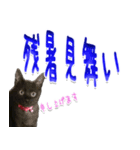 ★りある黒猫★夏仕様(デカ文字)（個別スタンプ：35）