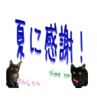 ★りある黒猫★夏仕様(デカ文字)（個別スタンプ：37）