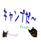 ★りある黒猫★夏仕様(デカ文字)（個別スタンプ：39）