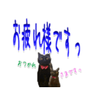 ★りある黒猫2★(デカ文字)～親子編～（個別スタンプ：2）