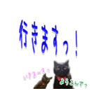 ★りある黒猫2★(デカ文字)～親子編～（個別スタンプ：4）