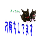 ★りある黒猫2★(デカ文字)～親子編～（個別スタンプ：15）