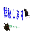 ★りある黒猫2★(デカ文字)～親子編～（個別スタンプ：16）