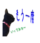 ★りある黒猫2★(デカ文字)～親子編～（個別スタンプ：29）