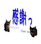 ★りある黒猫2★(デカ文字)～親子編～（個別スタンプ：40）