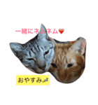 レオとココアからハートのメッセージ❤️（個別スタンプ：13）