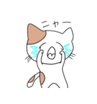 ねこ次のスタンプ2（個別スタンプ：19）