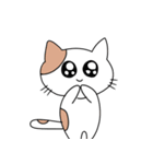 ねこ次のスタンプ2（個別スタンプ：31）