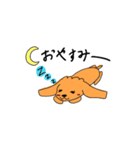 Chocolate of toy poodle good（個別スタンプ：2）