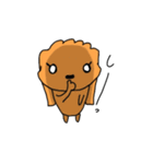 Chocolate of toy poodle good（個別スタンプ：13）