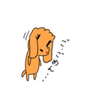 Chocolate of toy poodle good（個別スタンプ：18）