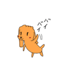 Chocolate of toy poodle good（個別スタンプ：19）