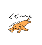 Chocolate of toy poodle good（個別スタンプ：22）