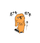 Chocolate of toy poodle good（個別スタンプ：24）