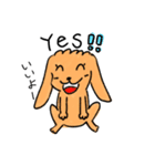 Chocolate of toy poodle good（個別スタンプ：39）