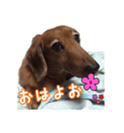 ほぉマック君（個別スタンプ：2）