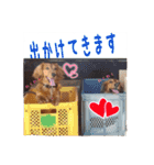 ほぉマック君（個別スタンプ：5）