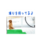 ほぉマック君（個別スタンプ：10）