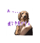 ほぉマック君（個別スタンプ：11）