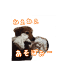 ほぉマック君（個別スタンプ：13）