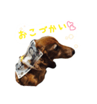 ほぉマック君（個別スタンプ：15）