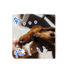 ほぉマック君（個別スタンプ：19）
