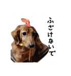 ほぉマック君（個別スタンプ：21）