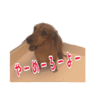 ほぉマック君（個別スタンプ：22）