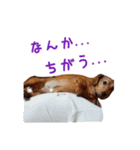 ほぉマック君（個別スタンプ：24）