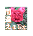 薔薇の花♡RPdR2・挨拶メッセージ（個別スタンプ：11）