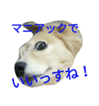 じいくの助《ちょっとカッコつけ》（個別スタンプ：3）