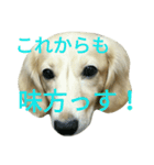 じいくの助《ちょっとカッコつけ》（個別スタンプ：5）