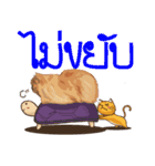 Winniie（個別スタンプ：8）