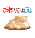 Winniie（個別スタンプ：13）