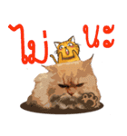 Winniie（個別スタンプ：16）