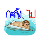 Winniie（個別スタンプ：18）