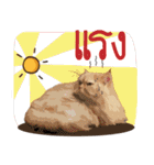 Winniie（個別スタンプ：22）