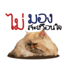 Winniie（個別スタンプ：24）
